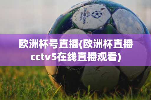 欧洲杯号直播(欧洲杯直播cctv5在线直播观看)