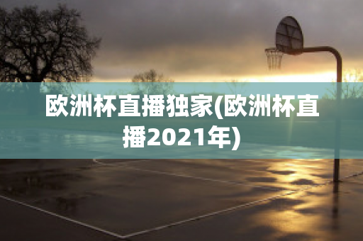 欧洲杯直播独家(欧洲杯直播2021年)