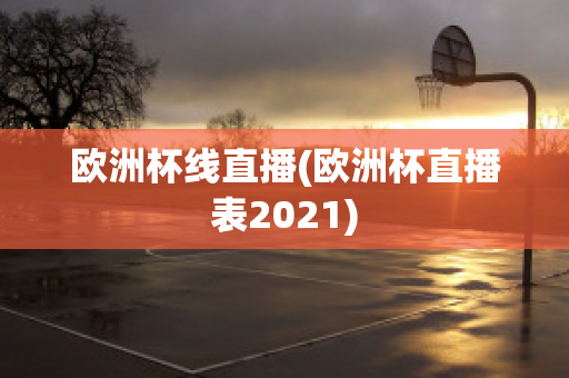 欧洲杯线直播(欧洲杯直播表2021)