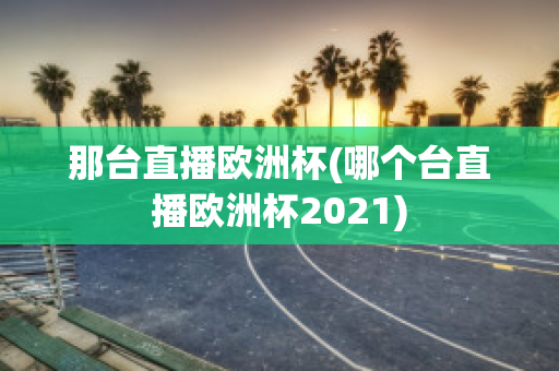 那台直播欧洲杯(哪个台直播欧洲杯2021)