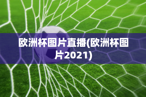 欧洲杯图片直播(欧洲杯图片2021)