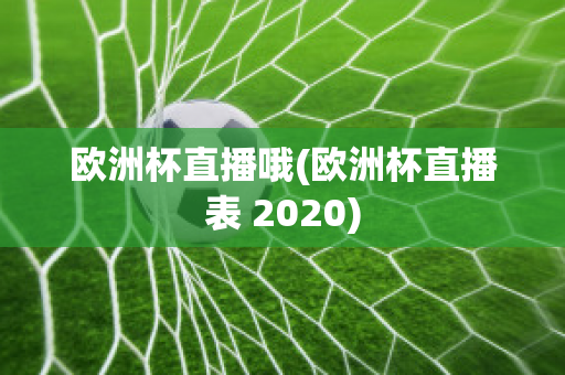 欧洲杯直播哦(欧洲杯直播表 2020)