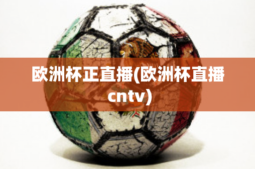 欧洲杯正直播(欧洲杯直播 cntv)