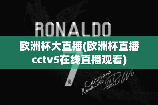 欧洲杯大直播(欧洲杯直播cctv5在线直播观看)