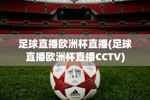 足球直播欧洲杯直播(足球直播欧洲杯直播CCTV)