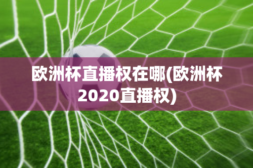 欧洲杯直播权在哪(欧洲杯2020直播权)