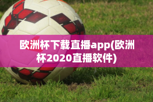 欧洲杯下载直播app(欧洲杯2020直播软件)