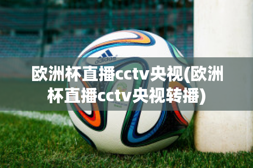 欧洲杯直播cctv央视(欧洲杯直播cctv央视转播)