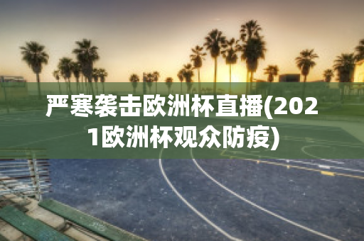 严寒袭击欧洲杯直播(2021欧洲杯观众防疫)