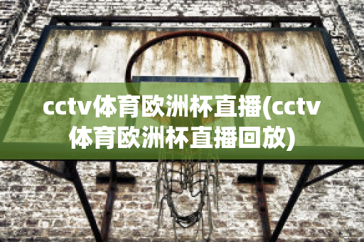 cctv体育欧洲杯直播(cctv体育欧洲杯直播回放)