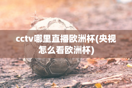 cctv哪里直播欧洲杯(央视怎么看欧洲杯)