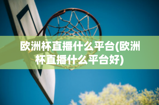 欧洲杯直播什么平台(欧洲杯直播什么平台好)