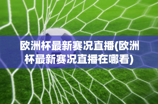 欧洲杯最新赛况直播(欧洲杯最新赛况直播在哪看)