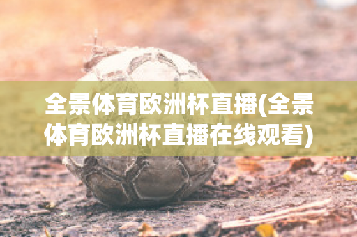 全景体育欧洲杯直播(全景体育欧洲杯直播在线观看)