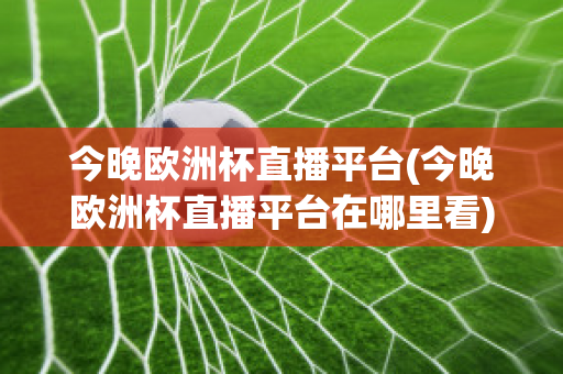 今晚欧洲杯直播平台(今晚欧洲杯直播平台在哪里看)