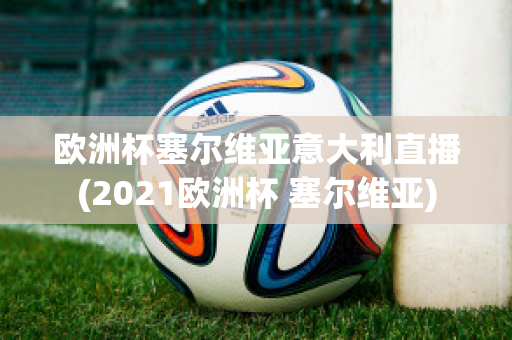 欧洲杯塞尔维亚意大利直播(2021欧洲杯 塞尔维亚)