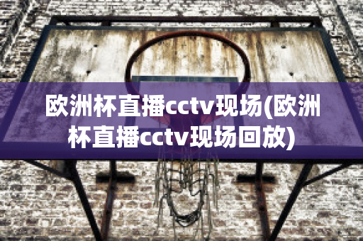 欧洲杯直播cctv现场(欧洲杯直播cctv现场回放)