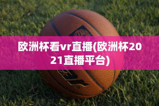 欧洲杯看vr直播(欧洲杯2021直播平台)