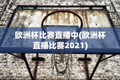 欧洲杯比赛直播中(欧洲杯直播比赛2021)