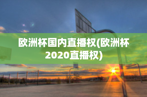 欧洲杯国内直播权(欧洲杯2020直播权)