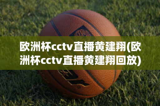 欧洲杯cctv直播黄建翔(欧洲杯cctv直播黄建翔回放)