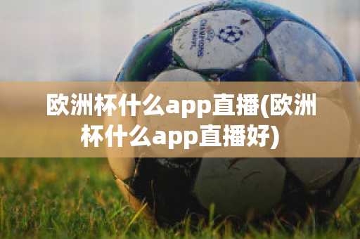 欧洲杯什么app直播(欧洲杯什么app直播好)