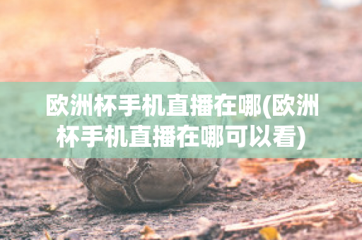 欧洲杯手机直播在哪(欧洲杯手机直播在哪可以看)