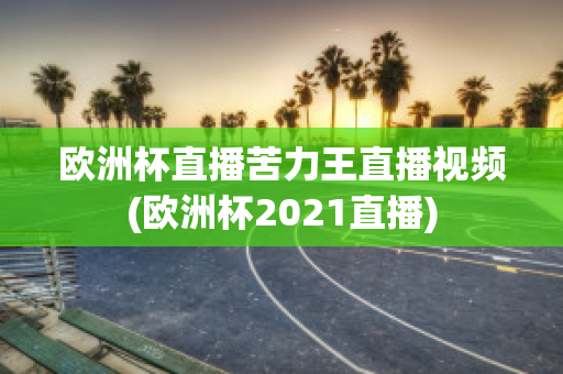 欧洲杯直播苦力王直播视频(欧洲杯2021直播)