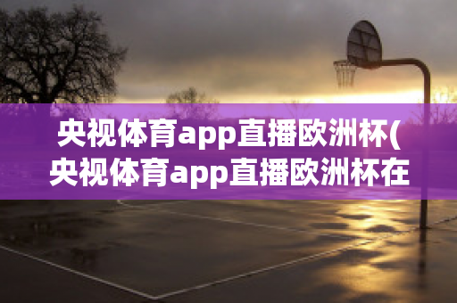 央视体育app直播欧洲杯(央视体育app直播欧洲杯在哪看)