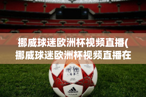 挪威球迷欧洲杯视频直播(挪威球迷欧洲杯视频直播在线观看)