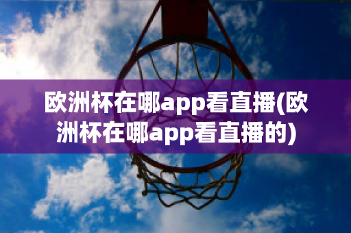 欧洲杯在哪app看直播(欧洲杯在哪app看直播的)