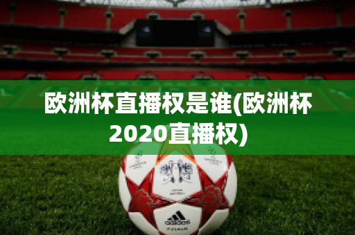 欧洲杯直播权是谁(欧洲杯2020直播权)