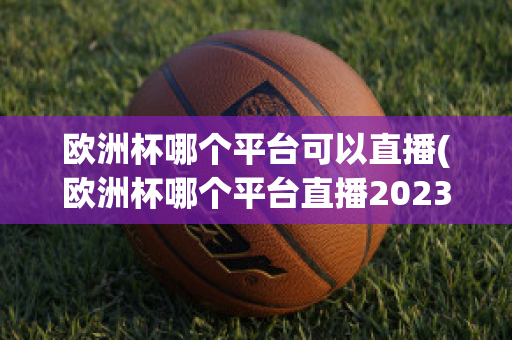 欧洲杯哪个平台可以直播(欧洲杯哪个平台直播2023)