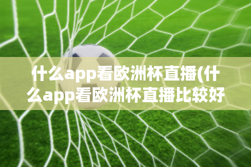 什么app看欧洲杯直播(什么app看欧洲杯直播比较好)