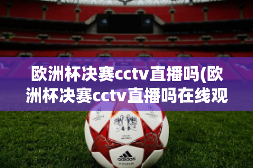 欧洲杯决赛cctv直播吗(欧洲杯决赛cctv直播吗在线观看)