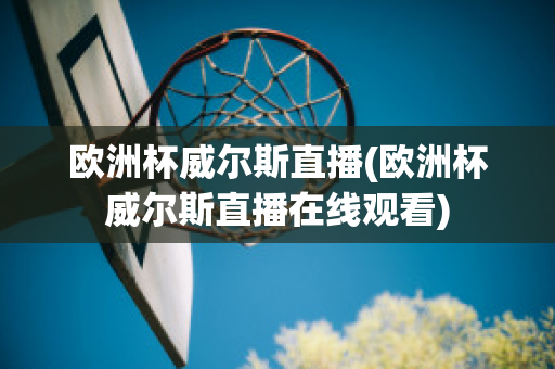 欧洲杯威尔斯直播(欧洲杯威尔斯直播在线观看)