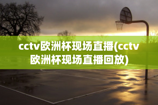 cctv欧洲杯现场直播(cctv欧洲杯现场直播回放)