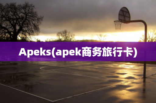 Apeks(apek商务旅行卡)