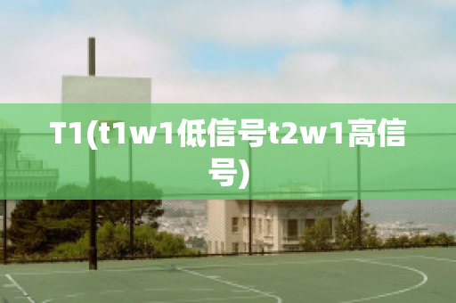 T1(t1w1低信号t2w1高信号)