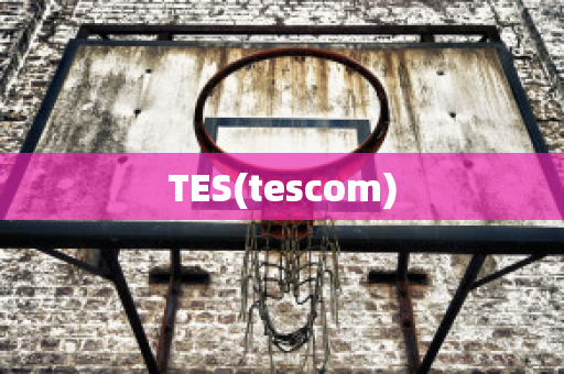 TES(tescom)