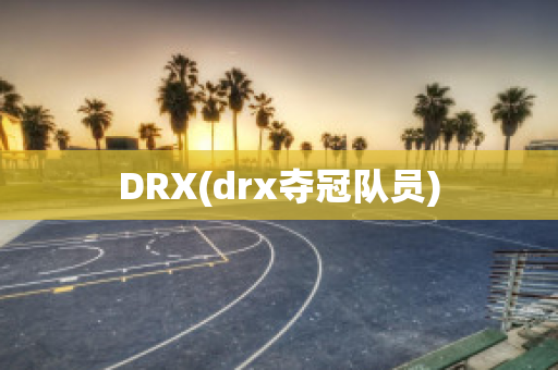 DRX(drx夺冠队员)