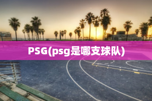 PSG(psg是哪支球队)