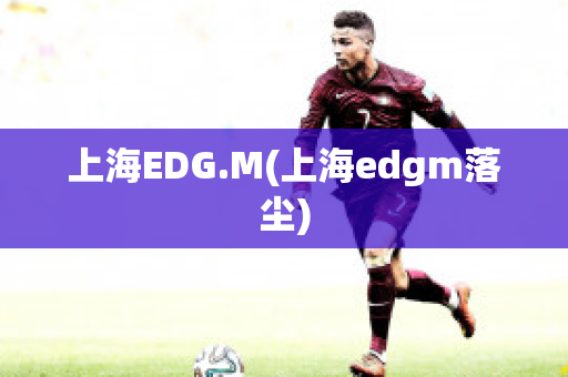 上海EDG.M(上海edgm落尘)