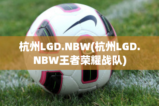 杭州LGD.NBW(杭州LGD.NBW王者荣耀战队)