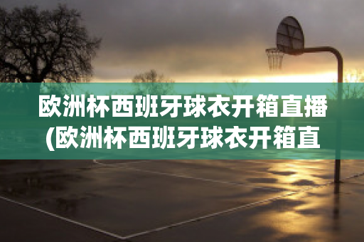 欧洲杯西班牙球衣开箱直播(欧洲杯西班牙球衣开箱直播回放)