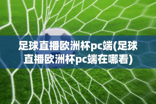 足球直播欧洲杯pc端(足球直播欧洲杯pc端在哪看)