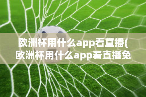 欧洲杯用什么app看直播(欧洲杯用什么app看直播免费)