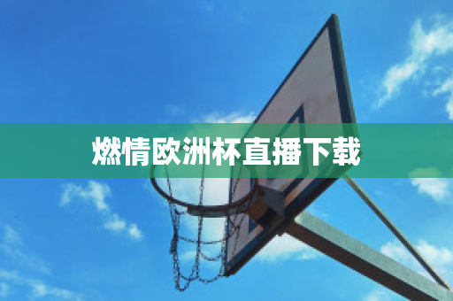 燃情欧洲杯直播下载