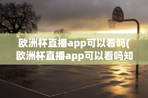 欧洲杯直播app可以看吗(欧洲杯直播app可以看吗知乎)