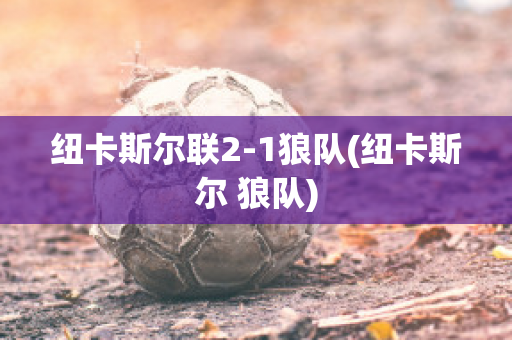 纽卡斯尔联2-1狼队(纽卡斯尔 狼队)